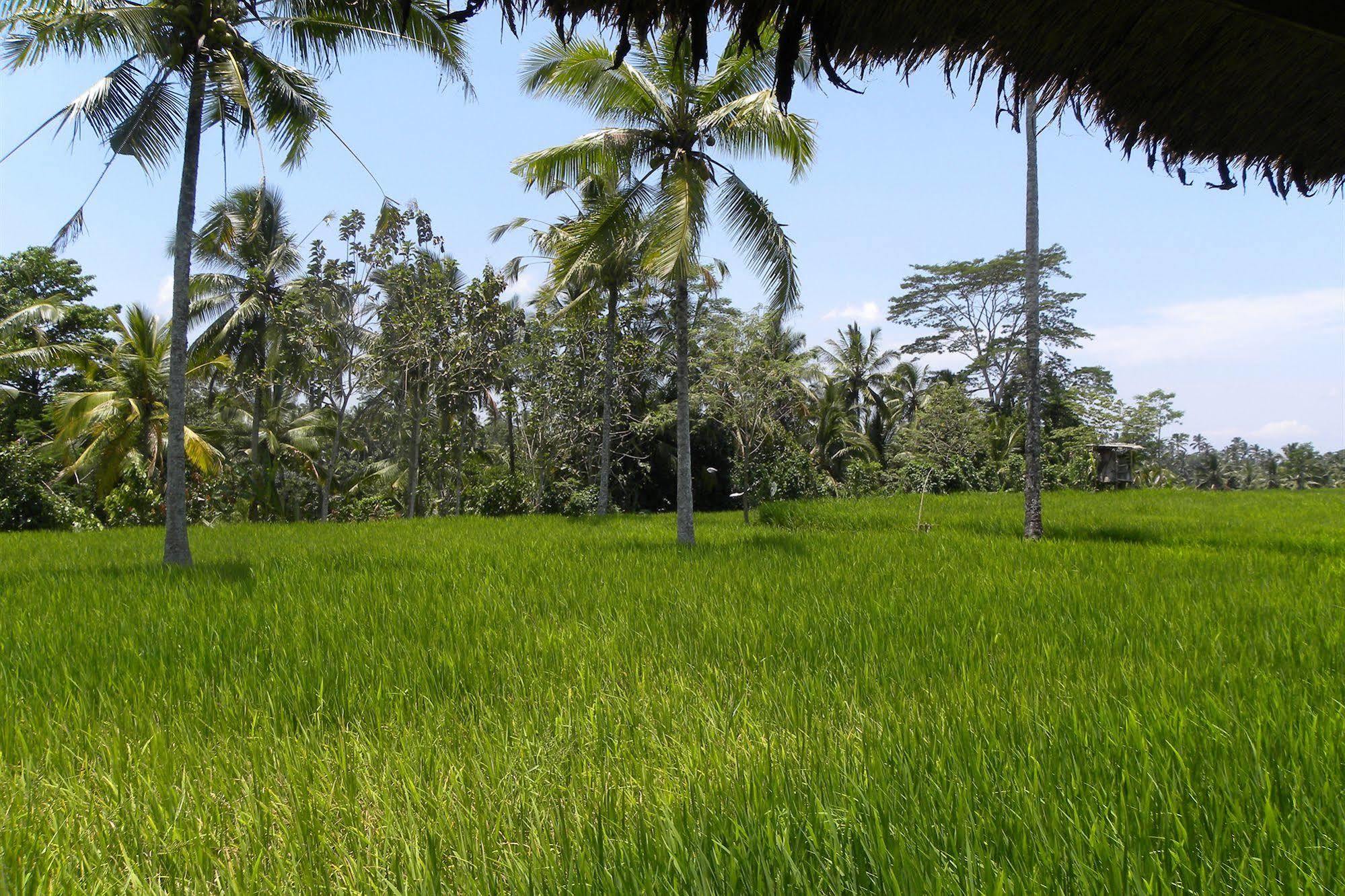 Saudara Home Ubud Ngoại thất bức ảnh