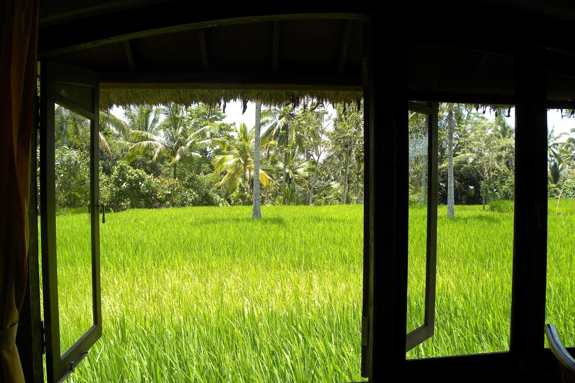 Saudara Home Ubud Ngoại thất bức ảnh