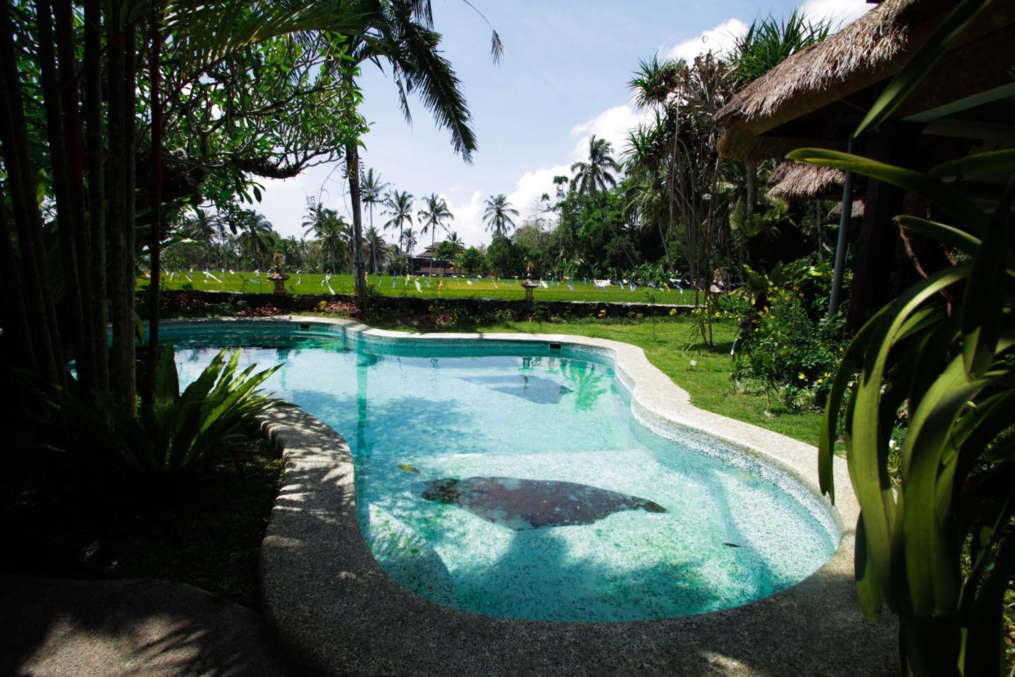 Saudara Home Ubud Ngoại thất bức ảnh